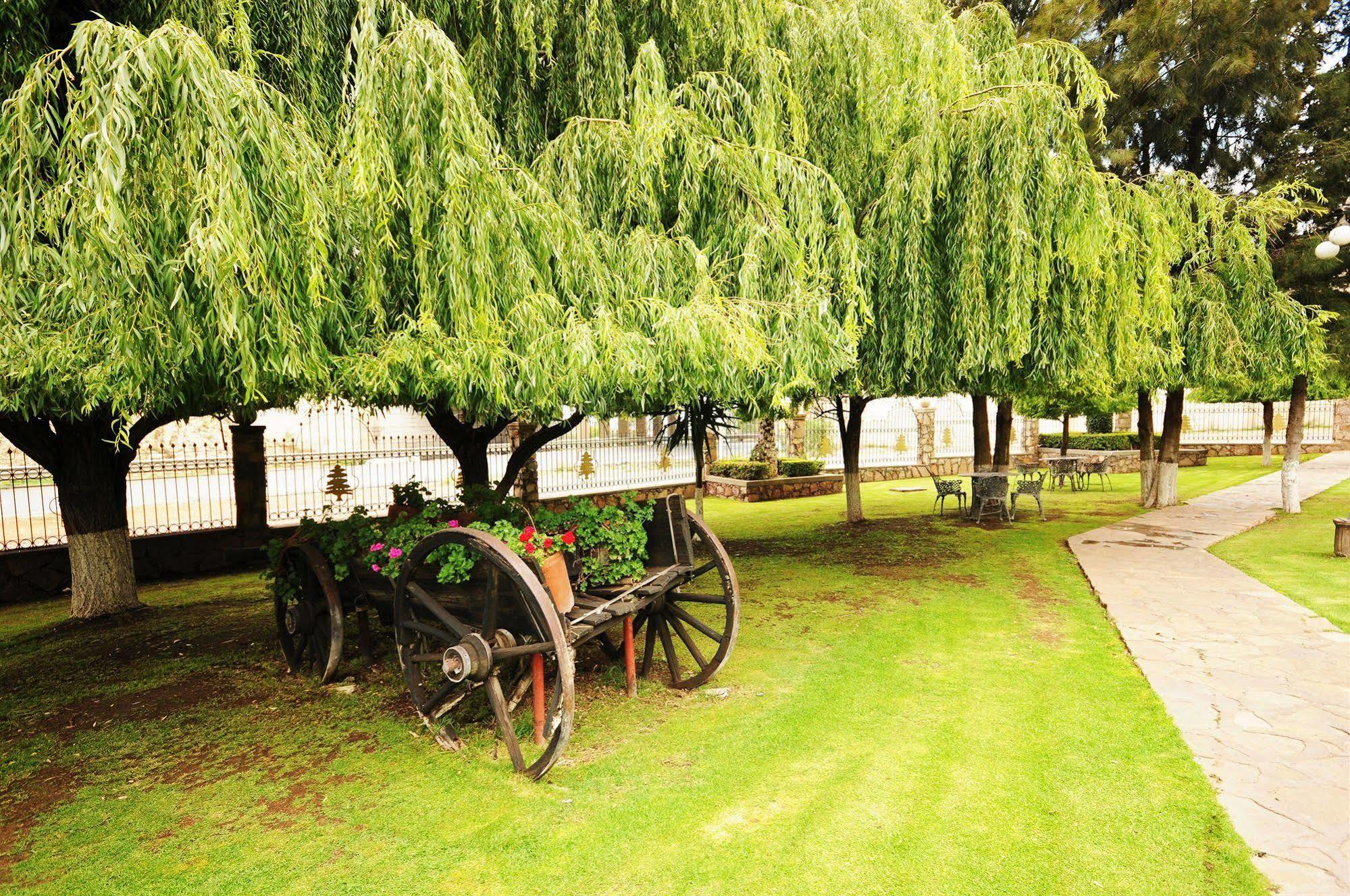 Hotel & Spa Hacienda Baruk Zacatecas Dış mekan fotoğraf